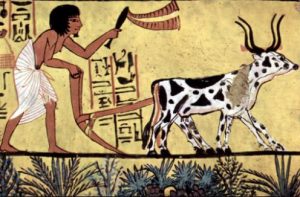 Ancient Sumer Agriculture