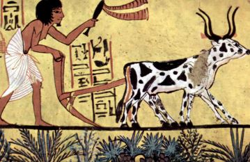 Agriculture in ancient Egypt