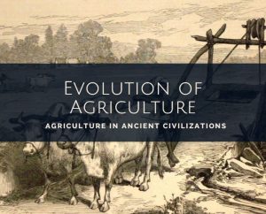Agriculture in ancient civilizations